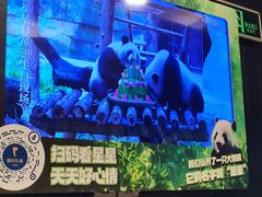 -眉州东坡(团结湖店)