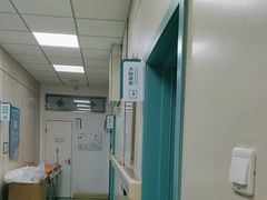 -北京观赏动物医院·24小时大型综合·猫专科·异宠专科
