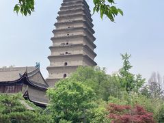 -西安博物院