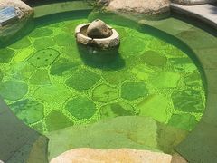 -溧阳天目湖天沐温泉