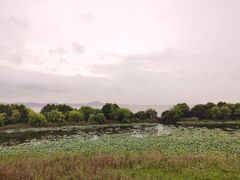 -上海市保健医疗中心