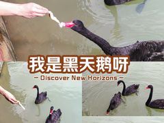 -广州白江湖森林公园