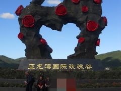 -亚龙湾国际玫瑰谷