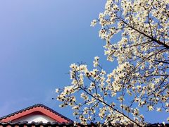 -堤角公园