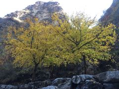 -孤山寨风景区