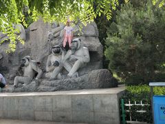 -石家庄市动物园