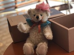 -济州岛泰迪熊博物馆