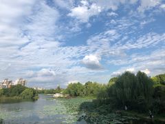 -新江湾城公园