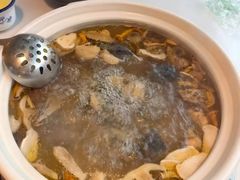 -蘑统田下·野生菌火锅