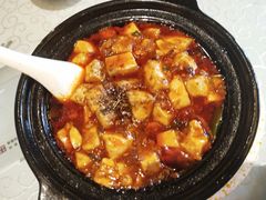 -陈麻婆豆腐总店