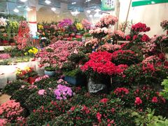 -双季花艺园艺市场(浦东店)