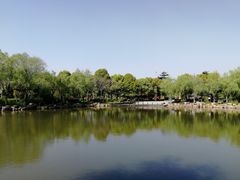 -紫薇公园