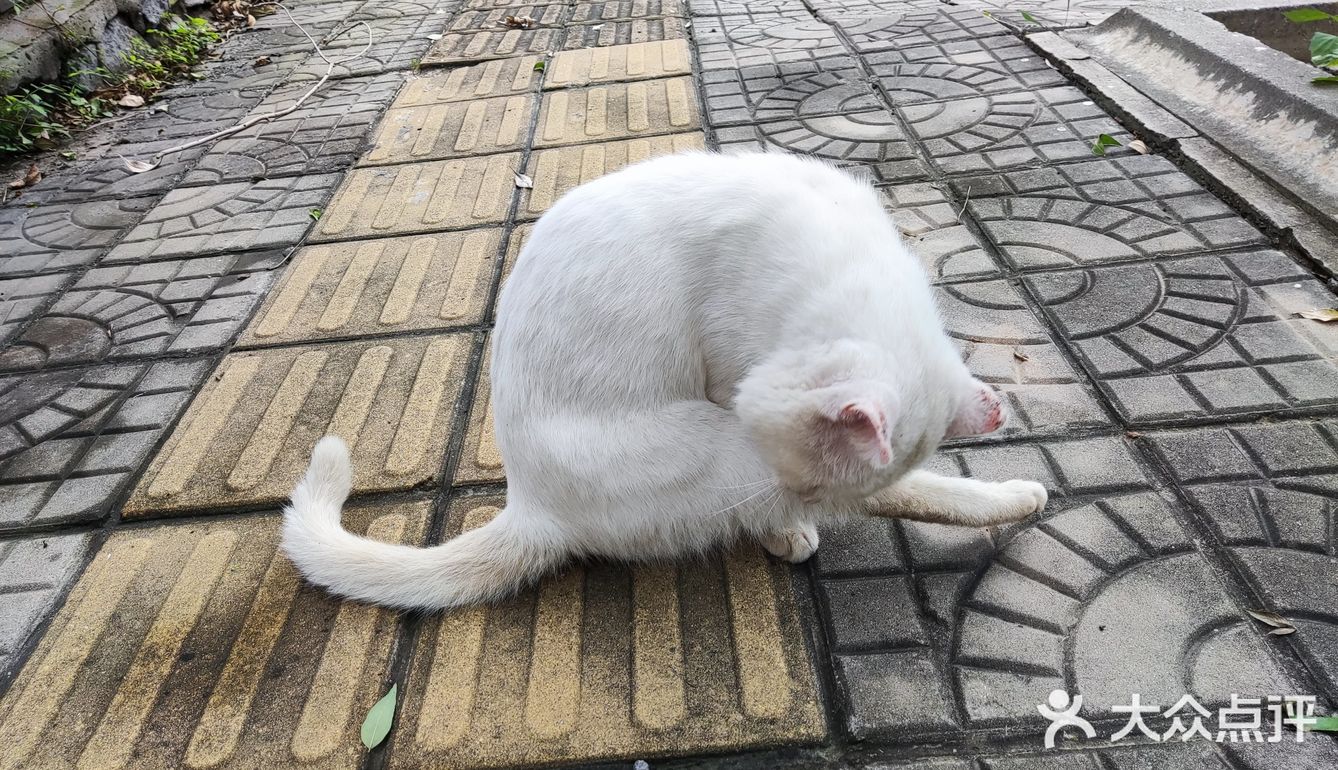 心疼