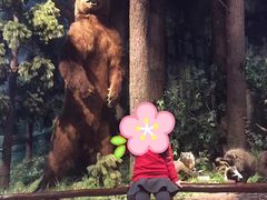 -陕西自然博物馆