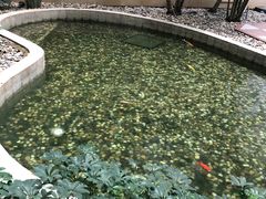 -广州白云机场雅高铂尔曼大酒店