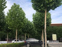 -法门文化景区