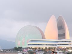 -野狸岛