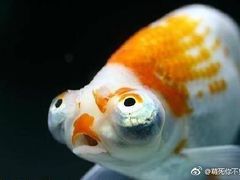-陕西省人民医院(主院区)