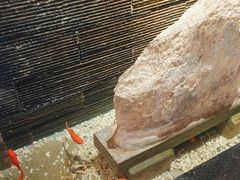 -巢湖名吃·东关老鹅汤(江南风情街店)