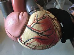 -南京医科大学第二附属医院(姜家园院区)