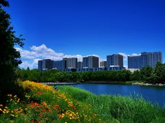 -大兴滨河森林公园