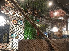 -阿里家·新疆烤肉酒場 by MIG