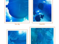 -珠海长隆海洋王国