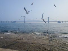 -星海广场
