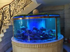 -碧中海汤泉汗蒸酒店