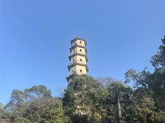 -江心屿景区