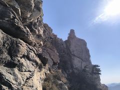 -大芦花风景区