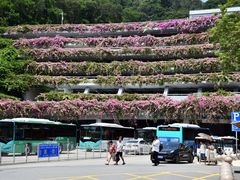-深圳仙湖植物园-停车场