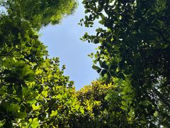 -上海滨江森林公园