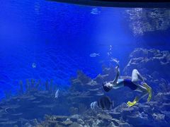 -海合安武汉极地海洋公园