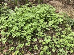 -鄞州雪菜博物馆