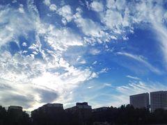 -中国人民武装警察部队特色医学中心