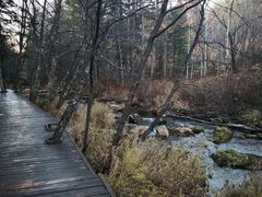 -汤旺河林海奇石景区