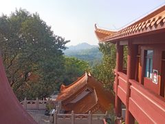 -深圳仙湖植物园