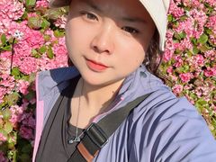-苏州上方山国家森林公园
