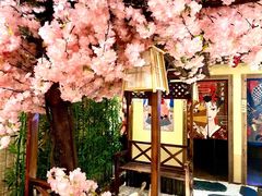 -福尔喵斯探案馆实景搜证·沉浸式剧本杀