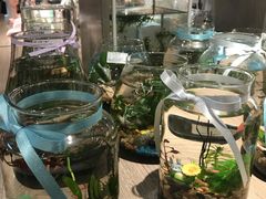 -酷乐潮玩(金桥国际店)
