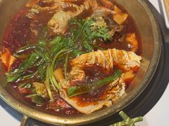 -涿派·炝锅鱼(涿州店)