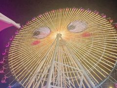-琴岛之星摩天轮