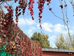 -水库活鱼馆(于桥水库店)