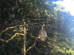 -普陀山慧济禅寺