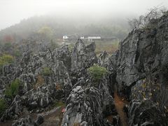 -千岛湖石林