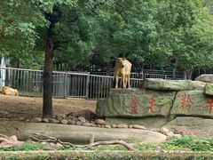 -常州淹城野生动物世界