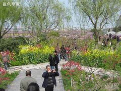 -南汇桃花村