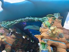 -珠海长隆海洋王国