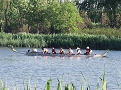 -大兴滨河森林公园